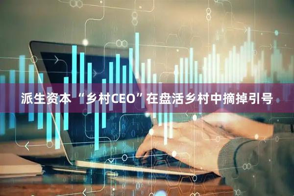 派生资本 “乡村CEO”在盘活乡村中摘掉引号