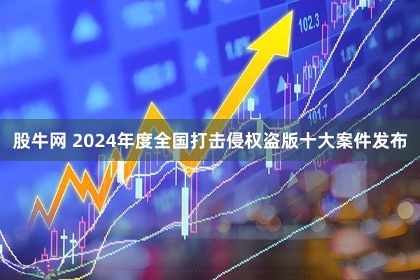 股牛网 2024年度全国打击侵权盗版十大案件发布