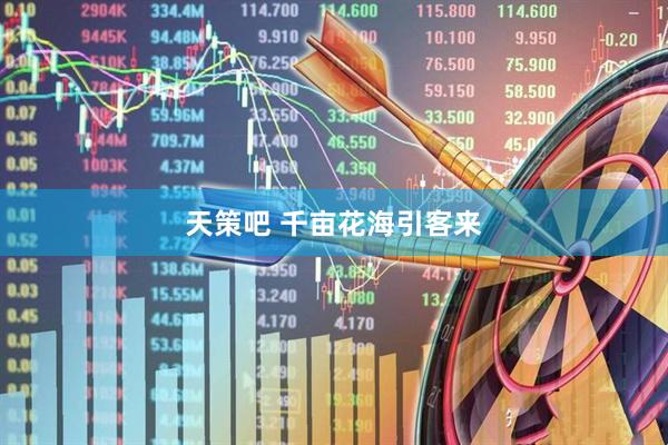 天策吧 千亩花海引客来