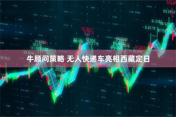 牛顾问策略 无人快递车亮相西藏定日