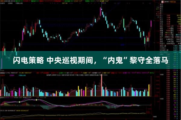 闪电策略 中央巡视期间，“内鬼”黎守全落马