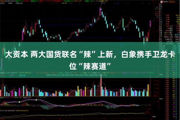 大资本 两大国货联名“辣”上新，白象携手卫龙卡位“辣赛道”