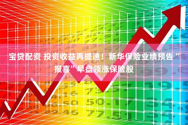 宝贷配资 投资收益再提速！新华保险业绩预告“报喜”早盘领涨保险股